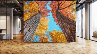 In this image, two tall trees are seen in full autumnal splendor with colors that are vibrant and vivid Wall mural