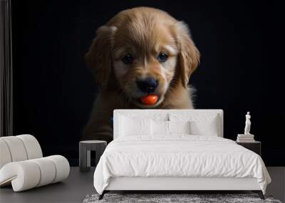 It's a cute puppy sitting in front of a bowl of colorful candies Wall mural