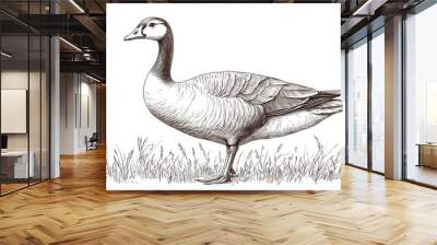 Modern illustration of farm goose sketch with hand-drawn line art Wall mural