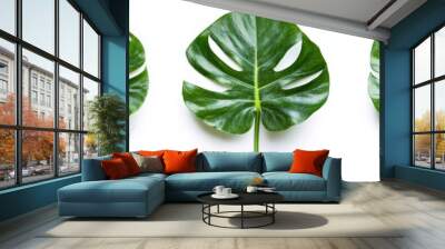 Monstera leaves in vibrant green isolated on a transparent background, suitable for tropical-themed design concepts and environmental projects Wall mural