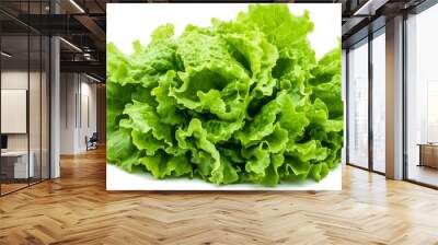 Salad leaves isolated on white Wall mural