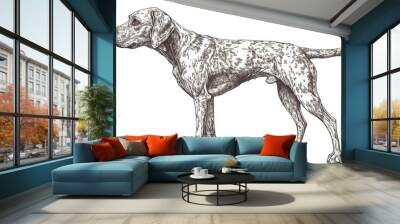 The farm dog sketch is a hand drawn line art engraving of a modern illustration Wall mural