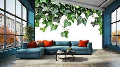 The leaves and twigs of a bush fresh plant are isolated on a green background. Wall mural