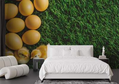 The tall grass is dotted with little yellow easter chicks with eggs. Wall mural