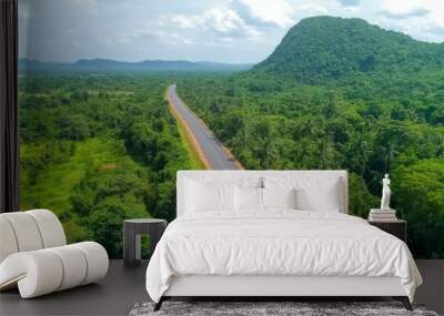 The view from above shows a curving road weaving its way through dense green forest and hills. Wall mural