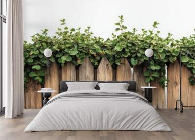 Weathered wooden picket fence cut away from foliage Wall mural