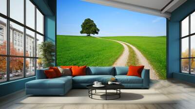 Farm Track leading through Green Field towards an Old Linden Tree on a Hill Wall mural