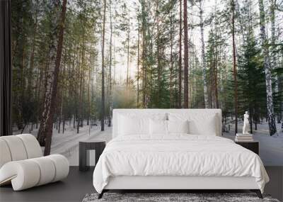 forest in winter Wall mural