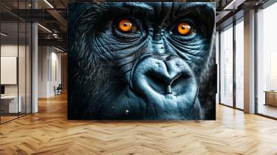 Ape with stern face, powerful dominant male gorilla on black background Wall mural