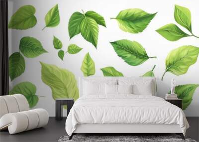 green leaves one by one isolated on white white background Wall mural