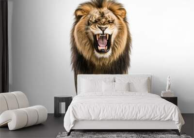 Lion leo looking at camera on clean png background. King hunter in the savanna. Wall mural