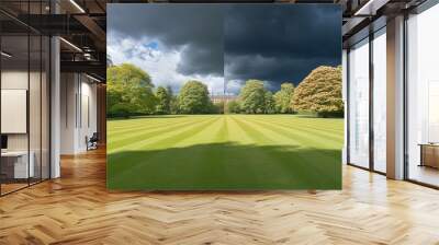 Split view of a lawn before and after mowing, wild grass on the left and neatly cut grass on the right, bright sunny skies, detailed and realistic, high definition, soft focus, Wall mural