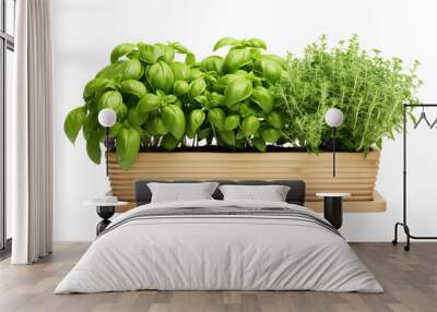 Lush Green Herb Garden Flourishing in a Wooden Planter Under Bright Natural Light on Transparent PNG Background.. Wall mural