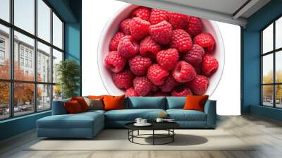 Rash berries Isolated on transparent background Wall mural