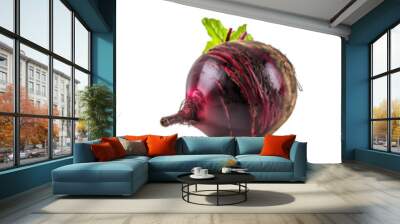 Set of beetroot (beet root) isolated on transparent background	 Wall mural