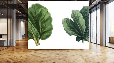 Set of cartoon collard green vegetable illustration, isolated on white background Wall mural