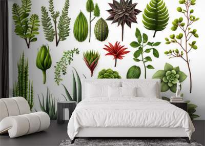 set of herbs isolated on white background Wall mural