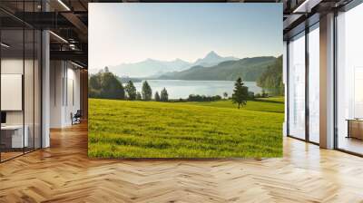 a large green field with a lake and mountains in the background Wall mural