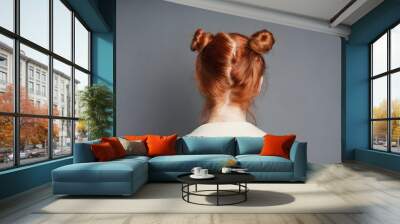 back view of red-haired woman with space buns hairstyle Wall mural