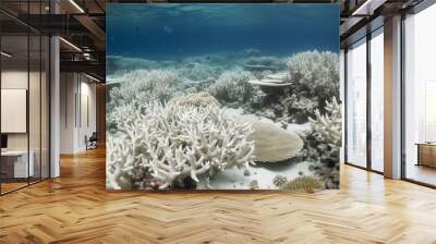 Reef scape during a massive coral bleaching event caused by global warming and el nino Wall mural