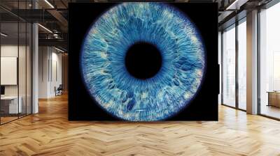 Blue eye iris - human eye Wall mural