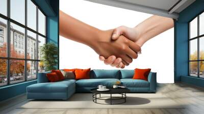 Handshake isolated transparent background Wall mural