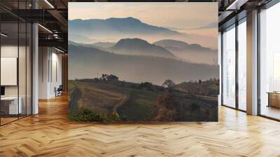 A house in the mountains and garden on a cloudy and foggy day Wall mural