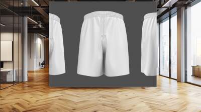 blank shorts mockup, front, back and side views. sweatpants. 3d rendering, 3d illustration. Wall mural