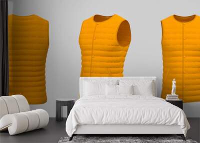 Vest puffer jacket mockup. 3d rendering, 3d illustration Wall mural