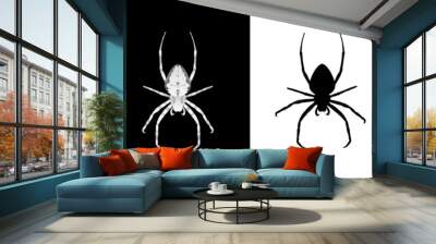 Set of spider insect vector illustration Wall mural