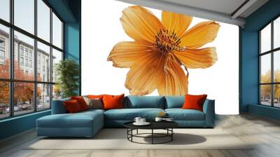 A single yellow dried flower Wall mural