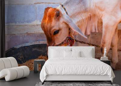 cow grazing the grass Wall mural