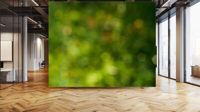 green abstract nature background Wall mural