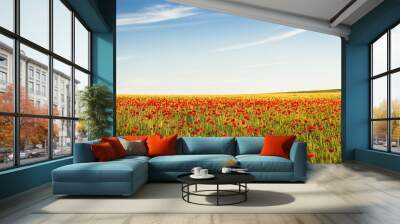 Red poppy fields Wall mural