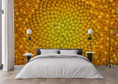 Sunflower disk florets close up Wall mural