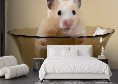 hamster Wall mural