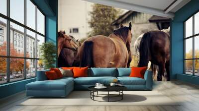 Herd of horses returns home from the field to the stables Wall mural