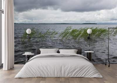 Onega lake. Cloudy sky Wall mural