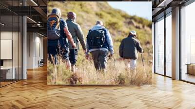 Hiking, field and senior men on mountain for fitness, trekking and backpacking adventure. Explorer, discovery and expedition with friends mountaineering in nature for health, retirement and journey Wall mural