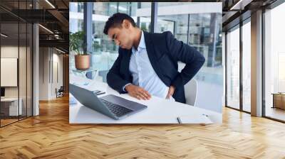 The pains of working long hours. Shot of a young businessman experiencing back pain while working in an office. Wall mural