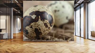 Macro photo of organic quail egg Wall mural