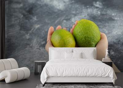 Woman hands holding two green fresh lemons Wall mural