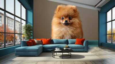 Adorable fluffy Pomeranian puppy posing on a teal surface against a neutral backdrop, showcasing its playful expression. Generative AI Wall mural