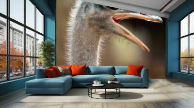 Long necked ostrich Wall mural