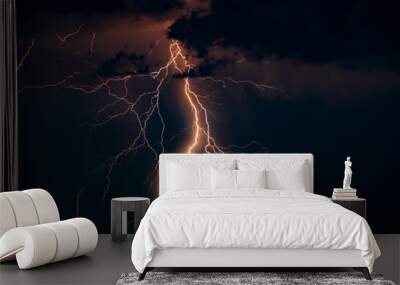 There are many lightning bolts against the black sky. Night photo of a thunderstorm on a long exposure, close up. A composite image of several frames. Copy space, an effect for design and overlay. Wall mural