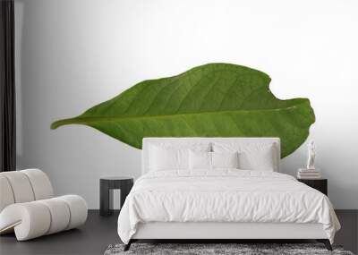 Water guava leaves with Isolate Leaves on transparent background. Png file. Wall mural