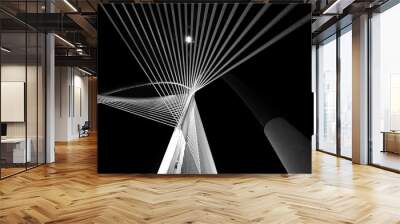 Modern bridge architecture Wall mural