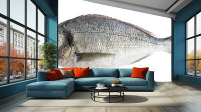 dorado fish isolated without shadow Wall mural