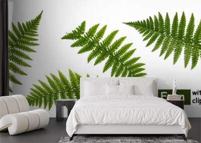 Fern leaves isolated on white with clipping path Wall mural