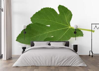 Fig leaf isolated on white background Wall mural